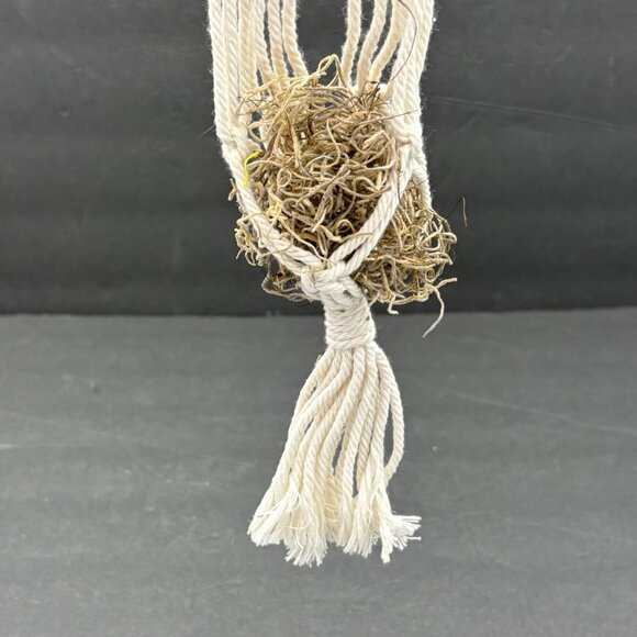 Handmade Macrame Air Plant Holder White Wooden Dowel‎ Grass 14”H Boho Hippie - Picture 4 of 9